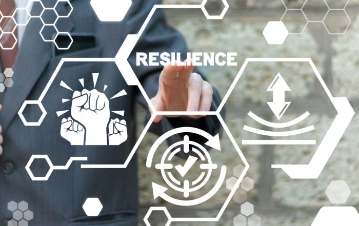 Enhanced cyber resilence with Dell Tech PowerProtect and DSI Limited